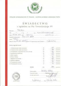 dyplom ZKwP